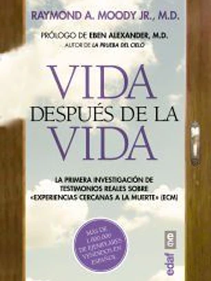 Vida después de la vida