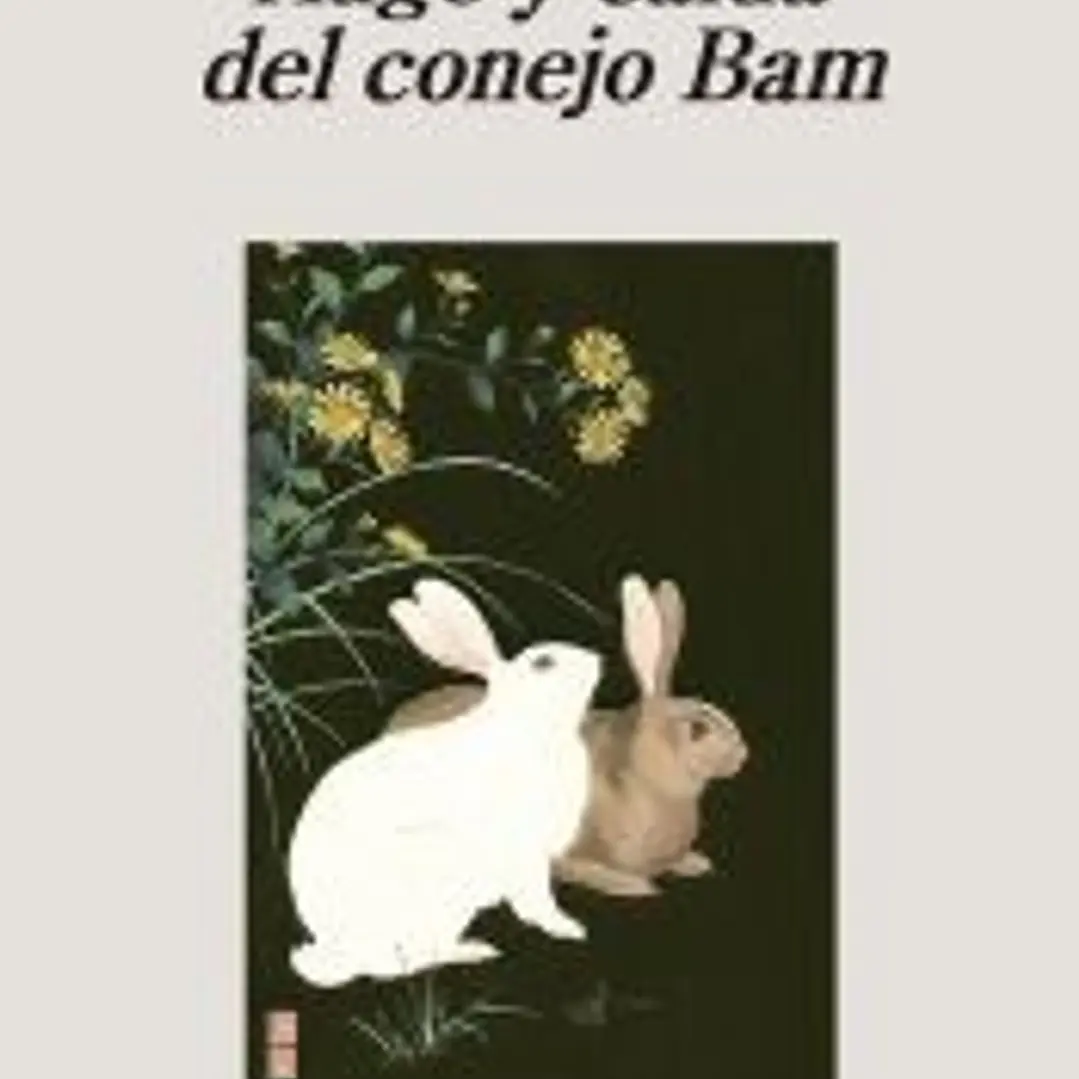 Auge y caída del conejo Bam 1