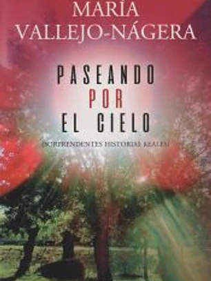 PASEANDO POR EL CIELO