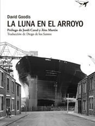 La luna en el arroyo