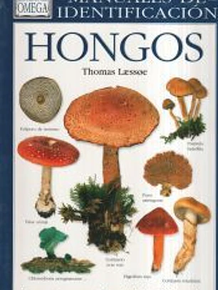 HONGOS. MANUAL DE IDENTIFICACION
