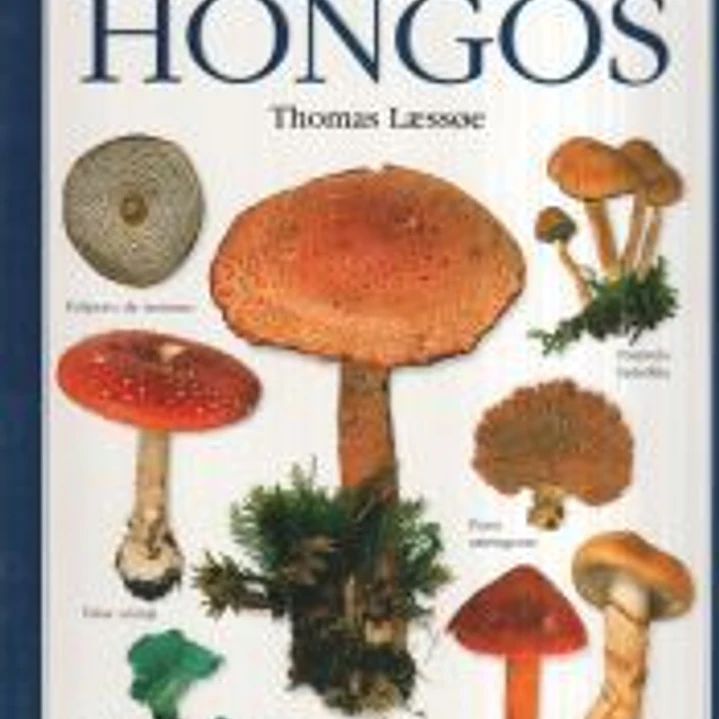 HONGOS. MANUAL DE IDENTIFICACION 1