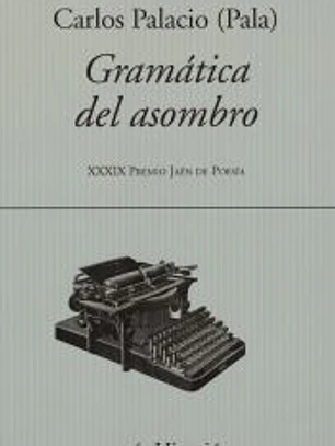 Gramatica del asombro