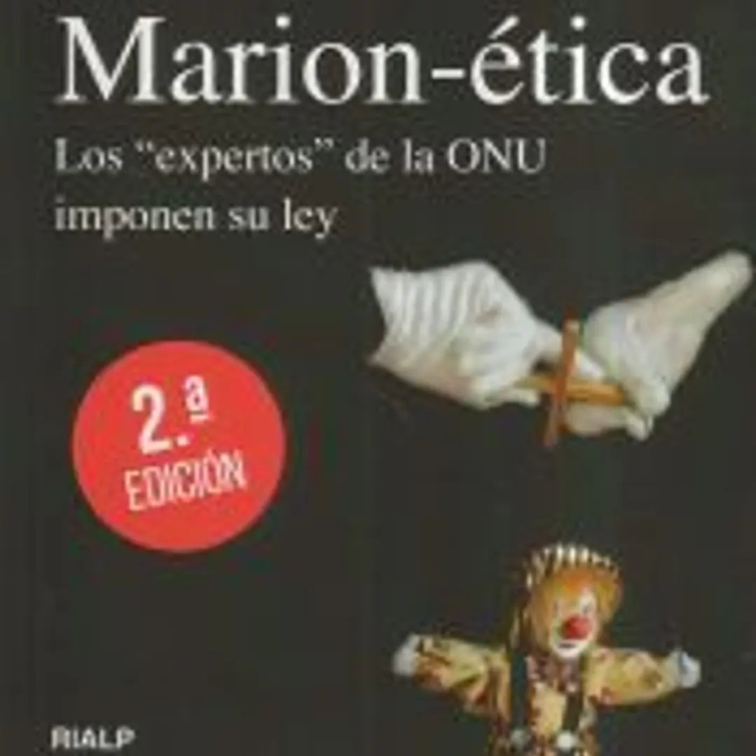 Los expertos de la ONU imponen su ley 1