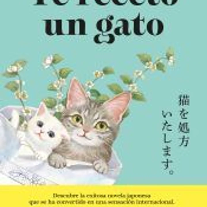 Te receto un gato 1
