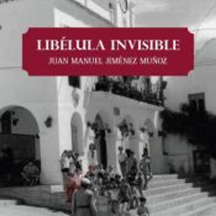 LIBELULA INVISIBLE 1
