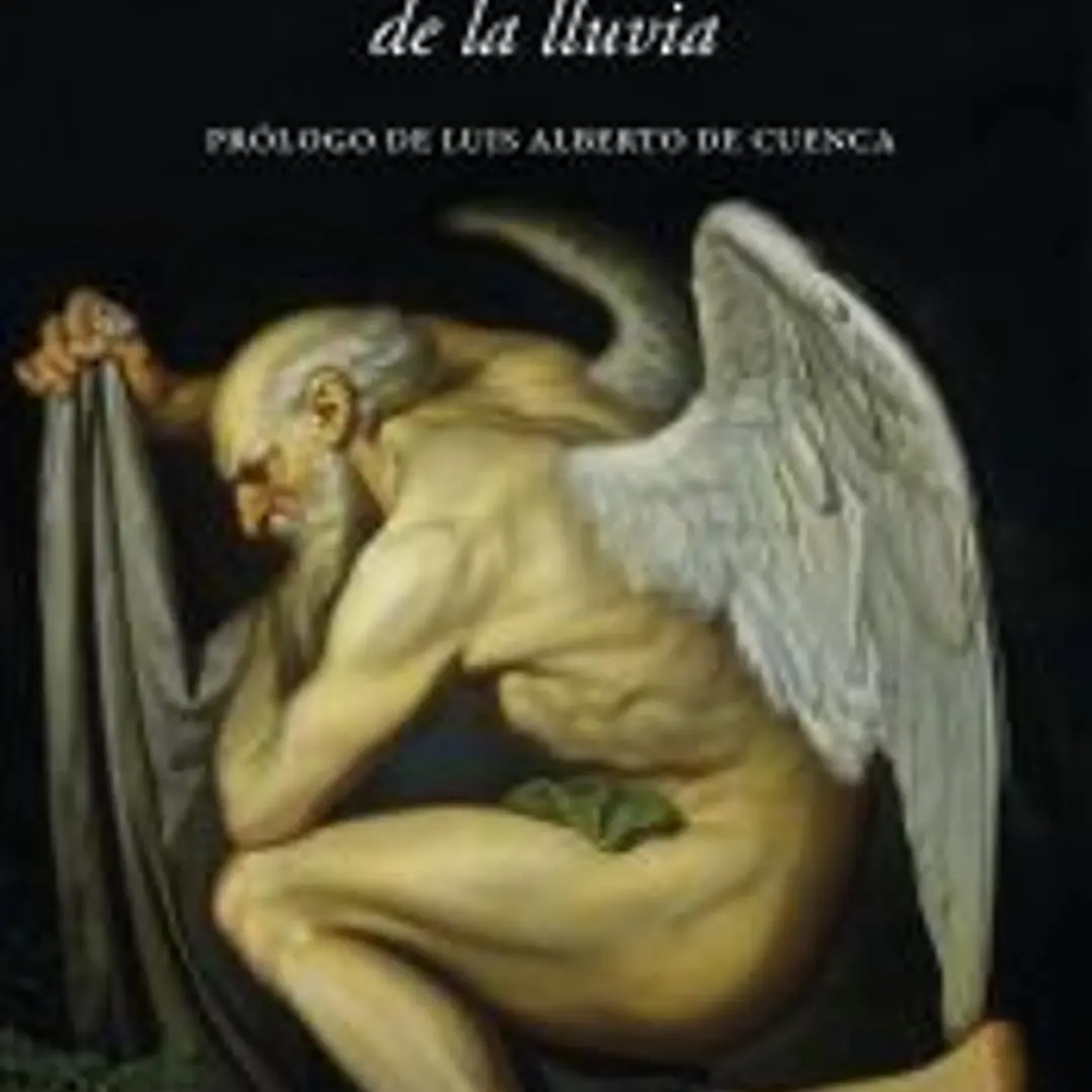 Los suaves deslices de la lluvia 1