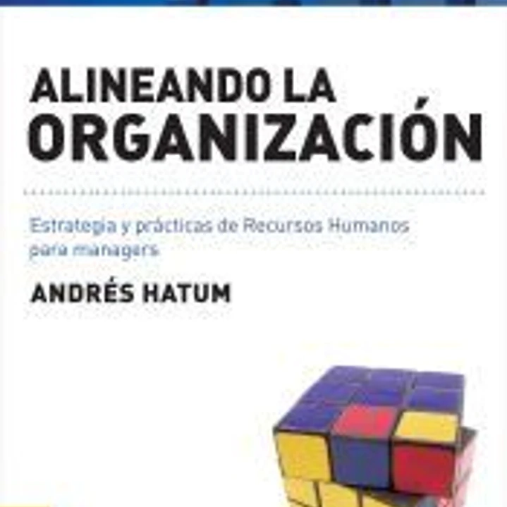 ALINEANDO LA ORGANIZACION 1