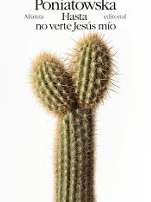 Hasta no verte Jesús mío