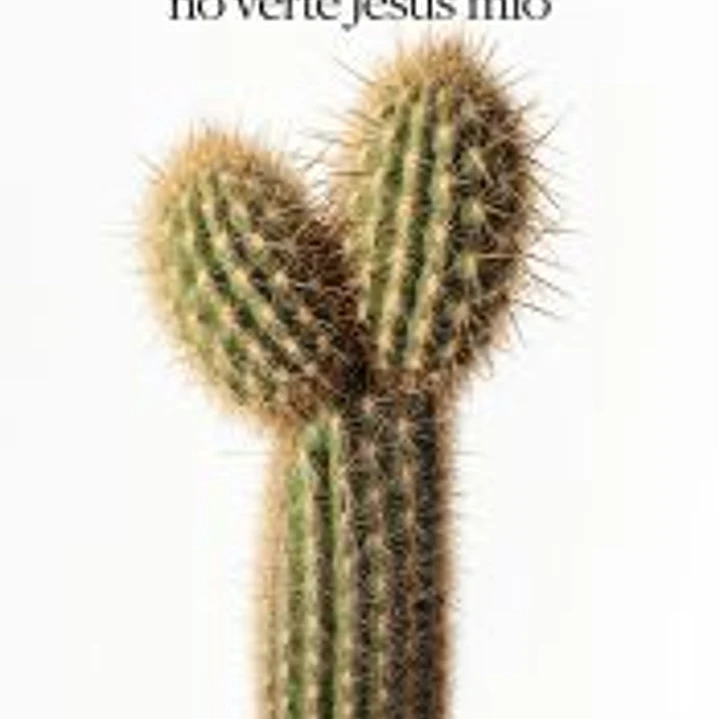 Hasta no verte Jesús mío 1