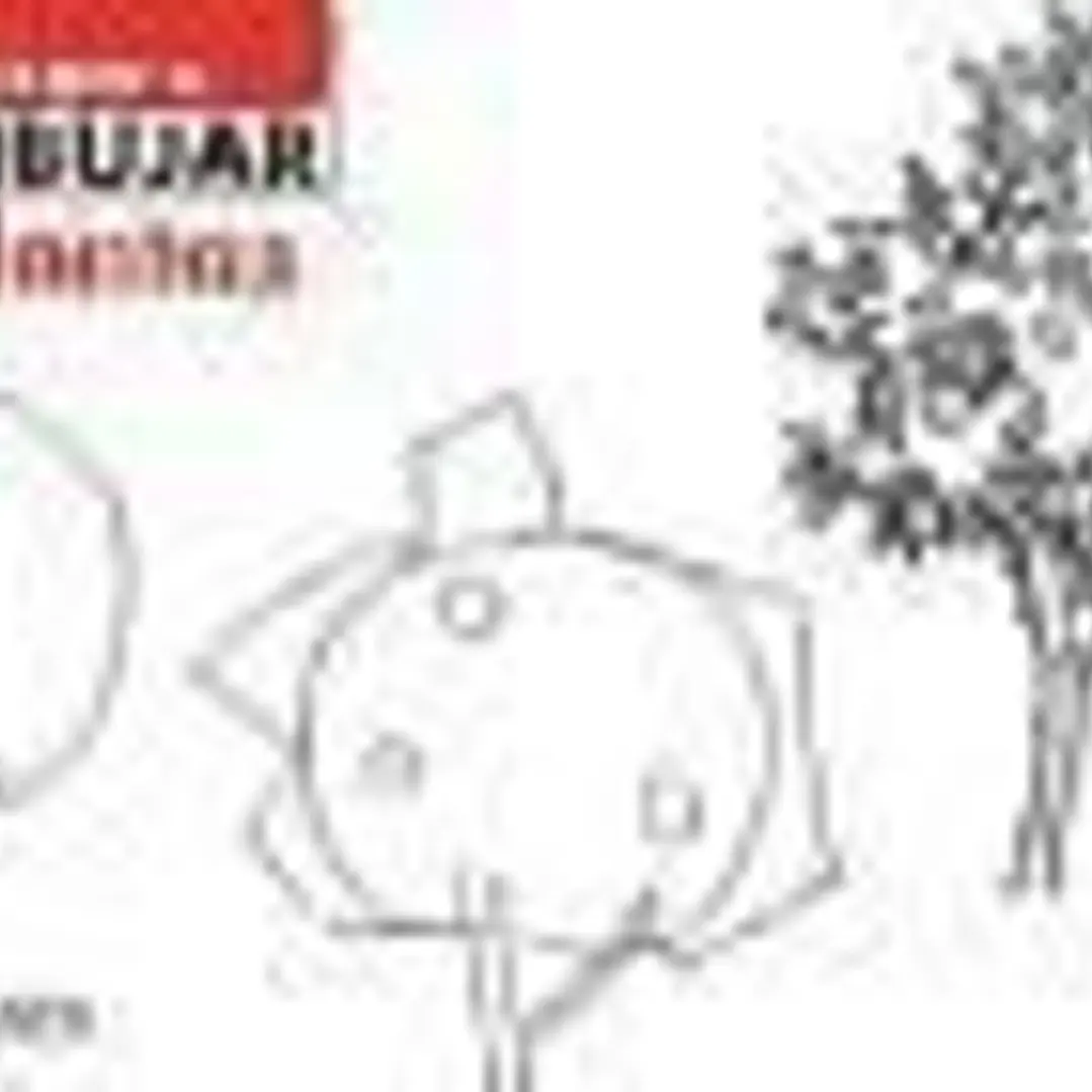 5. Plantas. 1