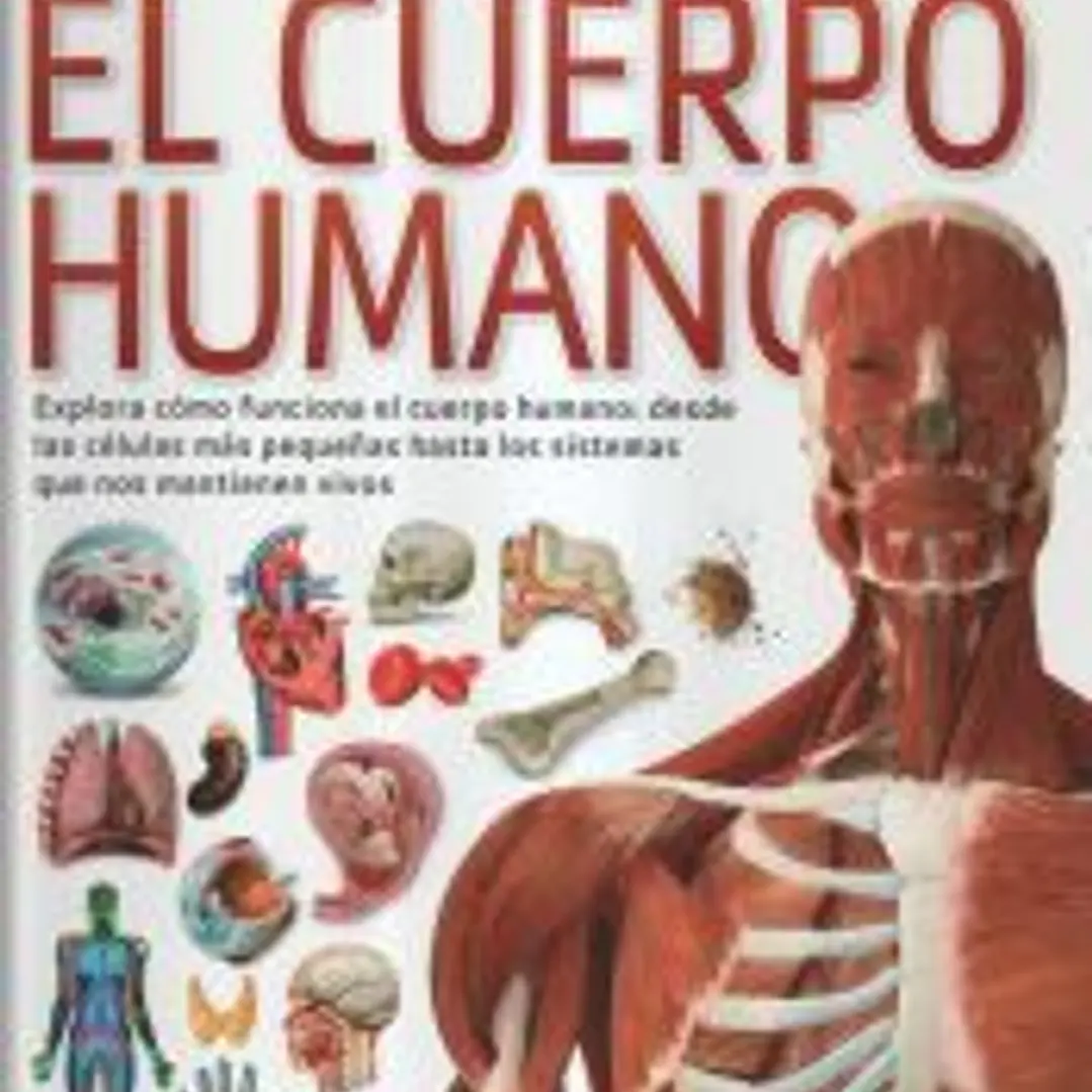 El cuerpo humano, Descubre 1