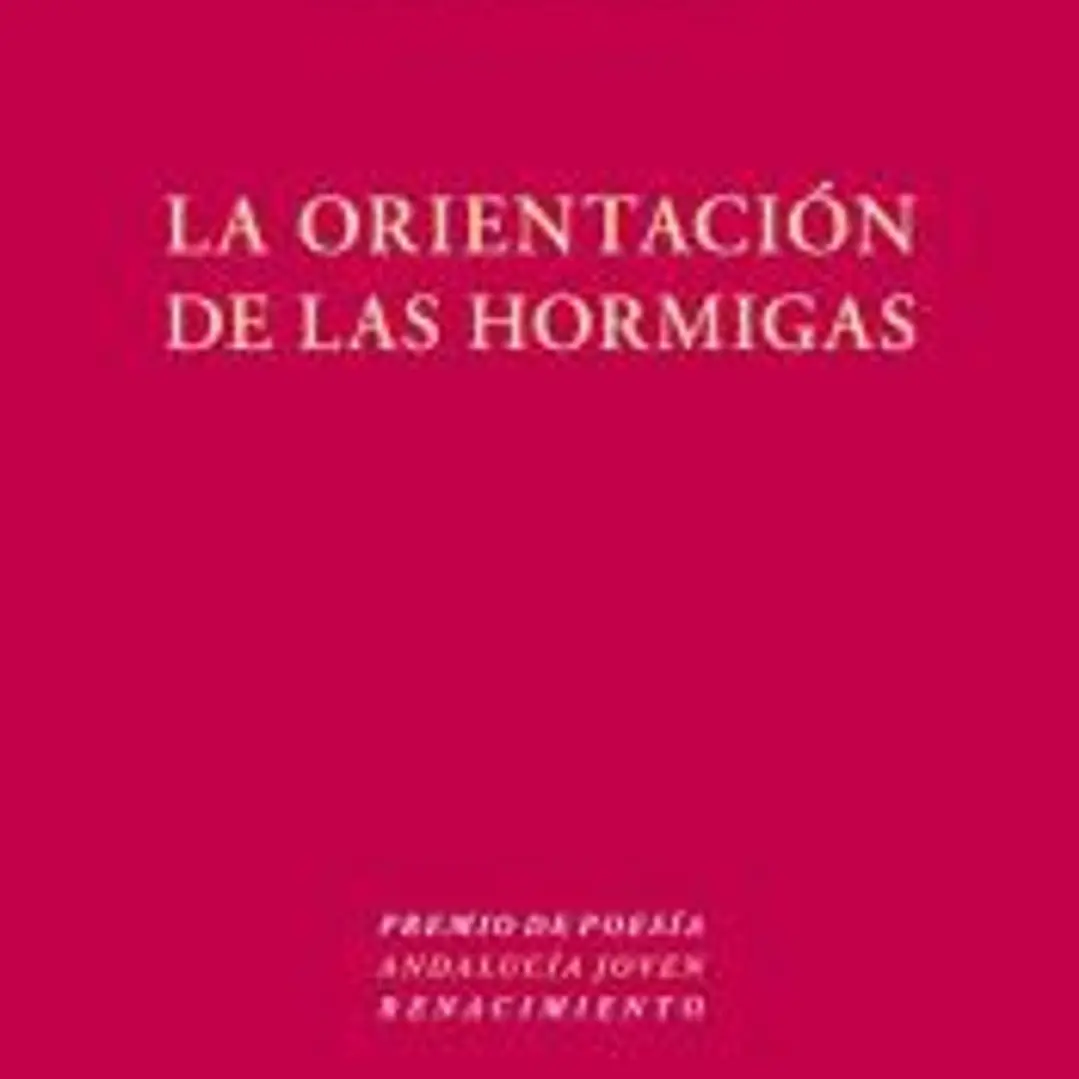 La orientación de las hormigas 1