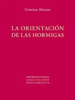 La orientación de las hormigas