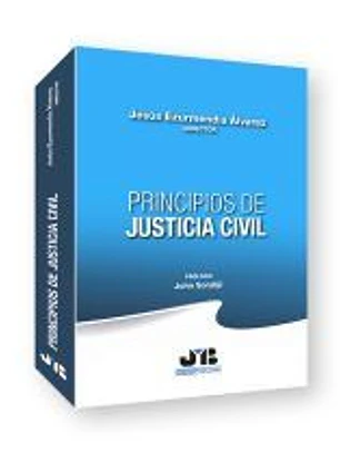 Principios de Justicia Civil