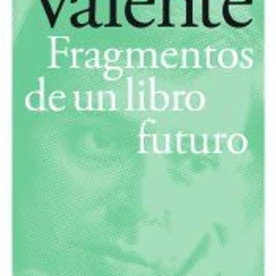 Fragmentos de un libro futuro- rústega 1