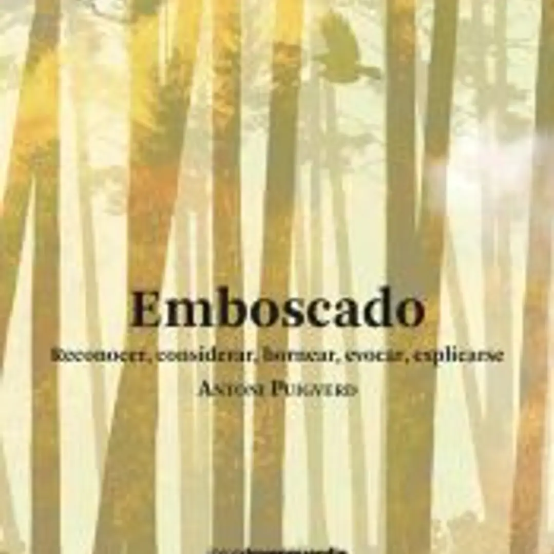 Emboscado 1