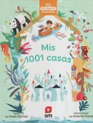 Mis 1001 casas