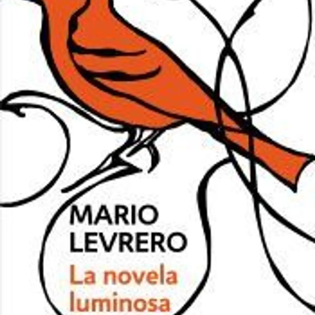 La novela luminosa 1