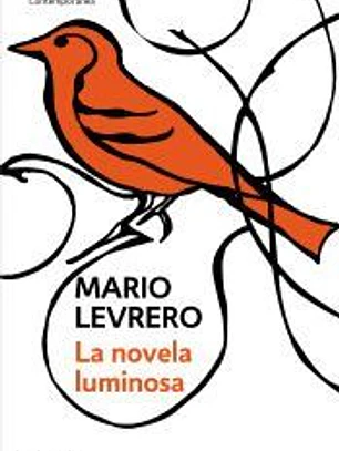 La novela luminosa