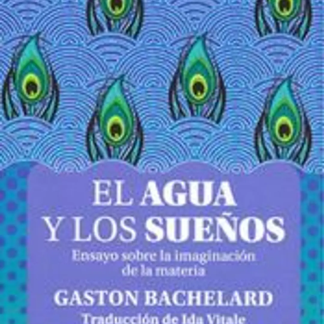 EL AGUA Y LOS SUE¥OS. ENSAYO SOBRE LA IMAGINACION DE LA MATERIA 1