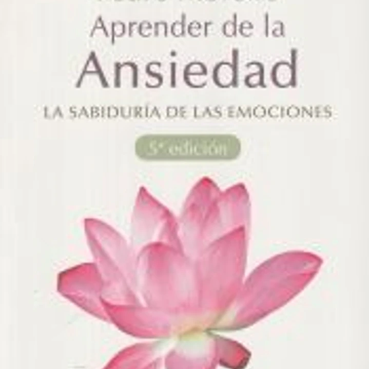 Aprender de la ansiedad 1