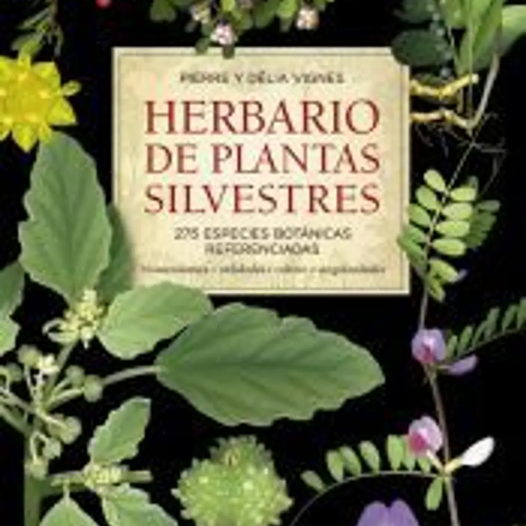Herbario de plantas silvestres 1