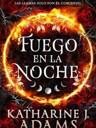 Fuego en la noche