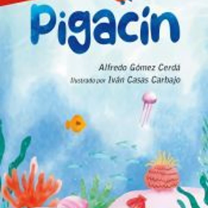 PIGACÍN 1