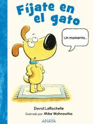 Fíjate en el gato