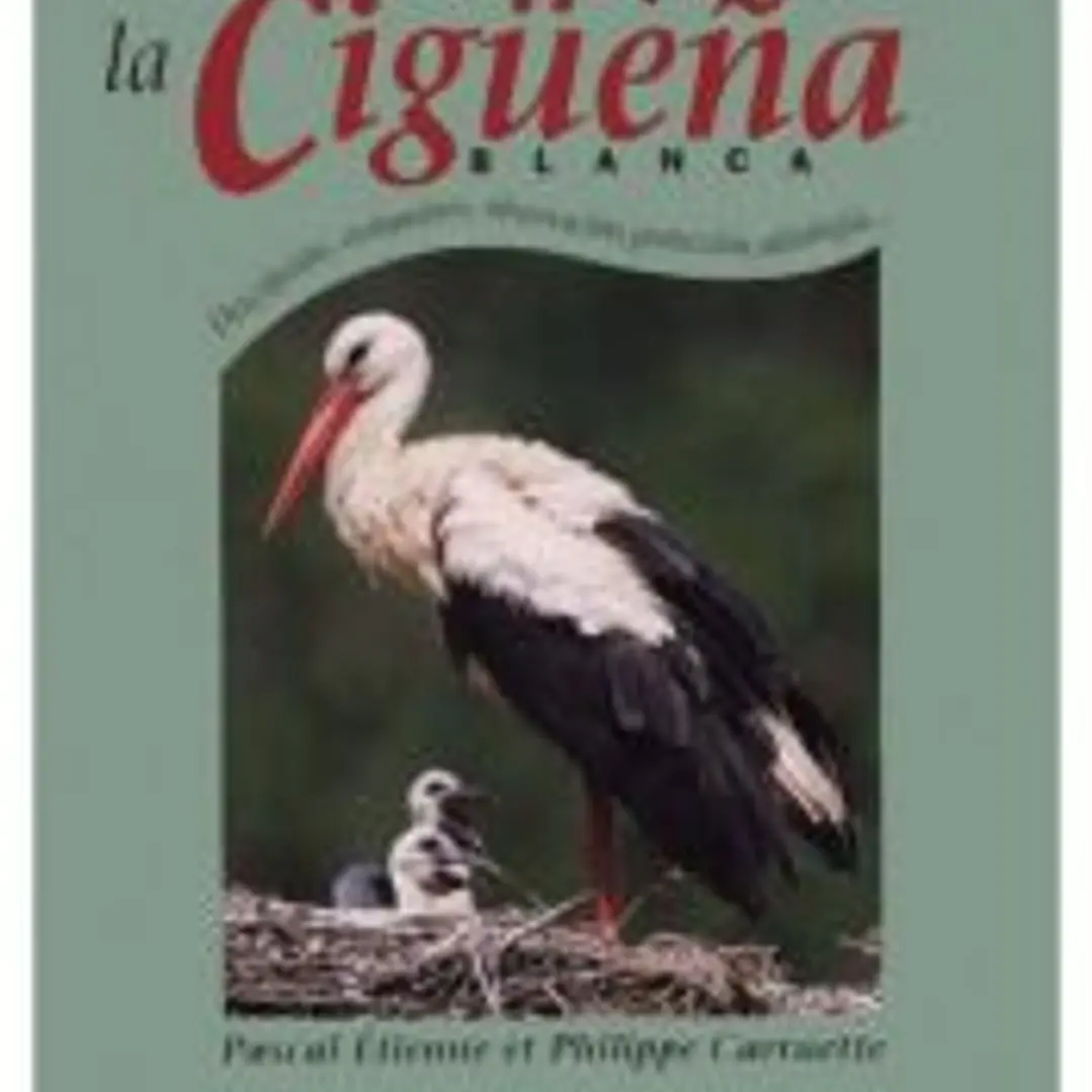 LA GIGÜEÑA BLANCA 1
