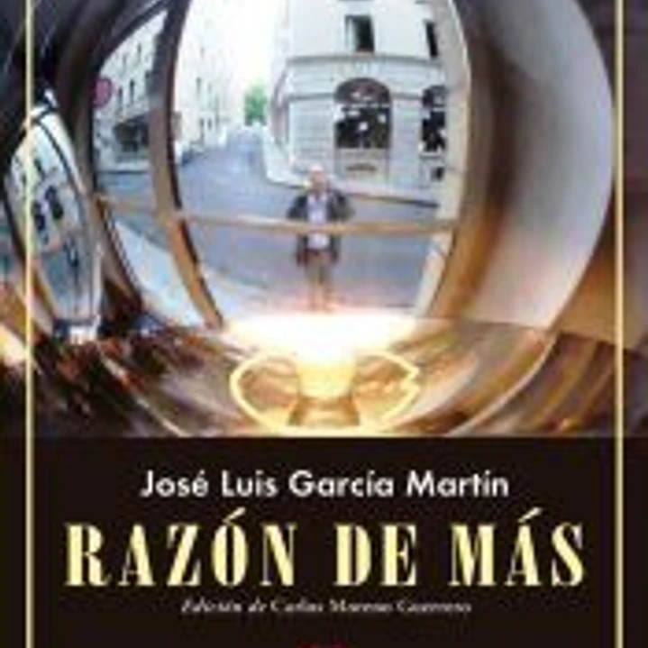 Razón de más. Diarios 2011-2012 1