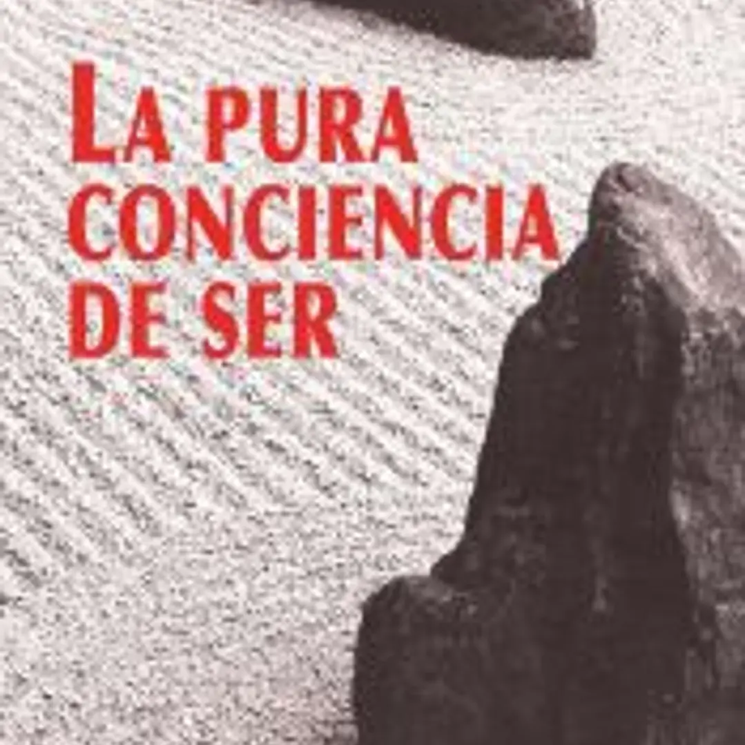 LA PURA CONCIENCIA DE SER 1