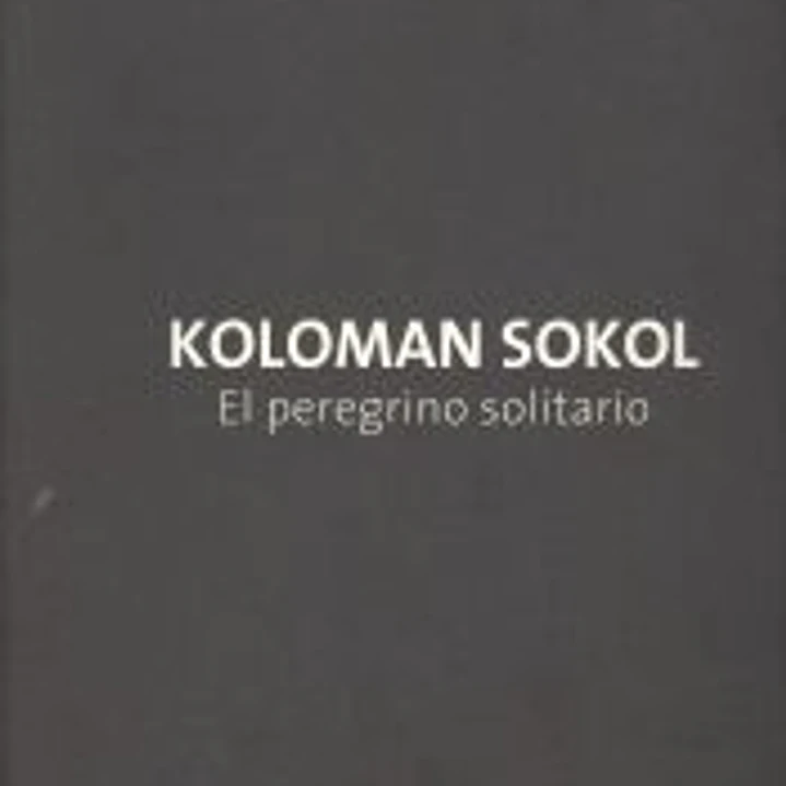 Koloman Sokol . El peregrino solitario 1