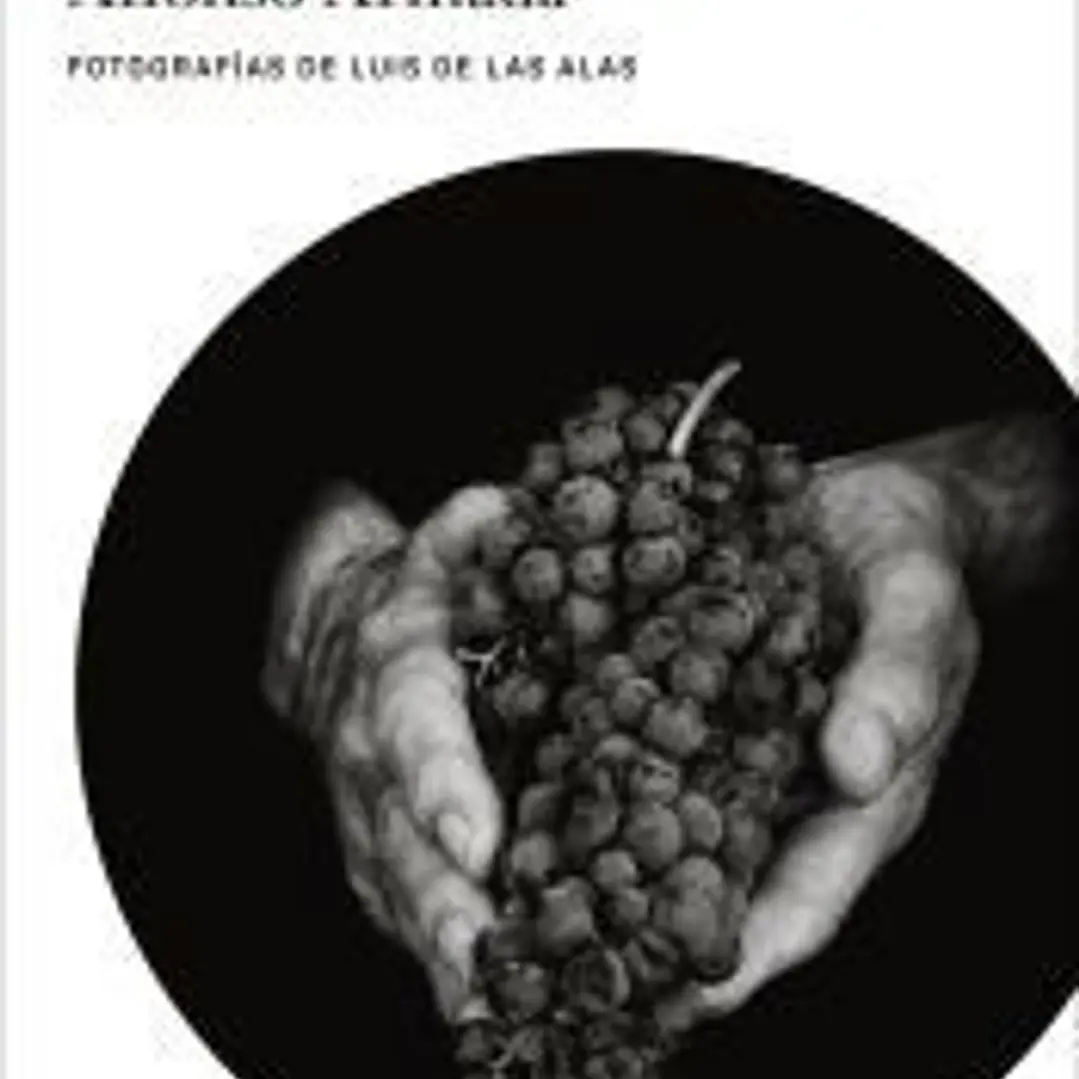 El misterio de Vega Sicilia. 1