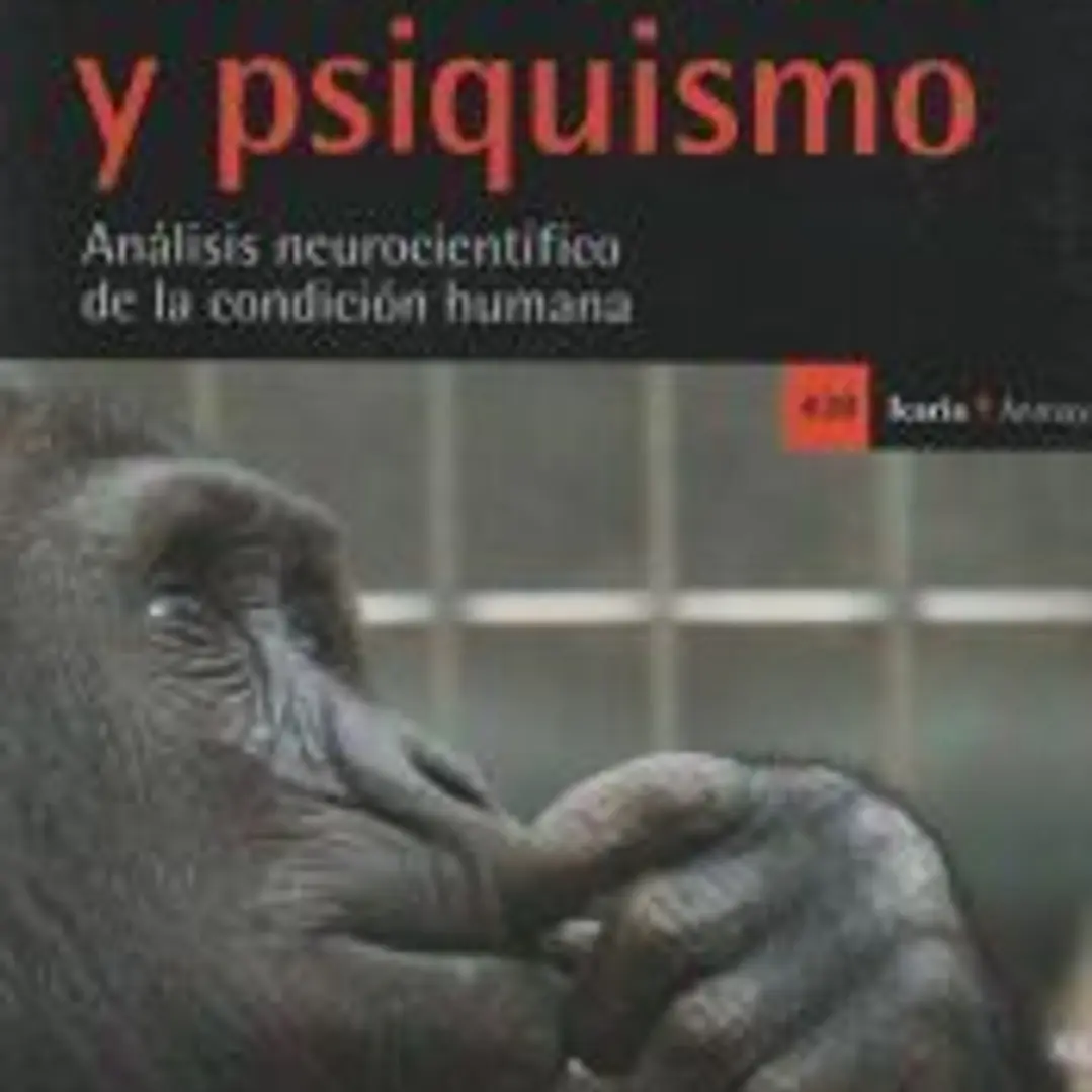 Conciencia y psiquismo 1