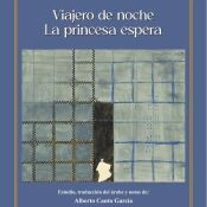 Viajero de noche 1