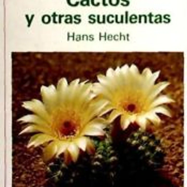 CACTOS Y OTRAS SUCULENTAS 1