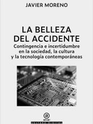 La belleza del accidente