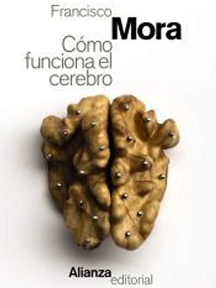 Cómo funciona el cerebro