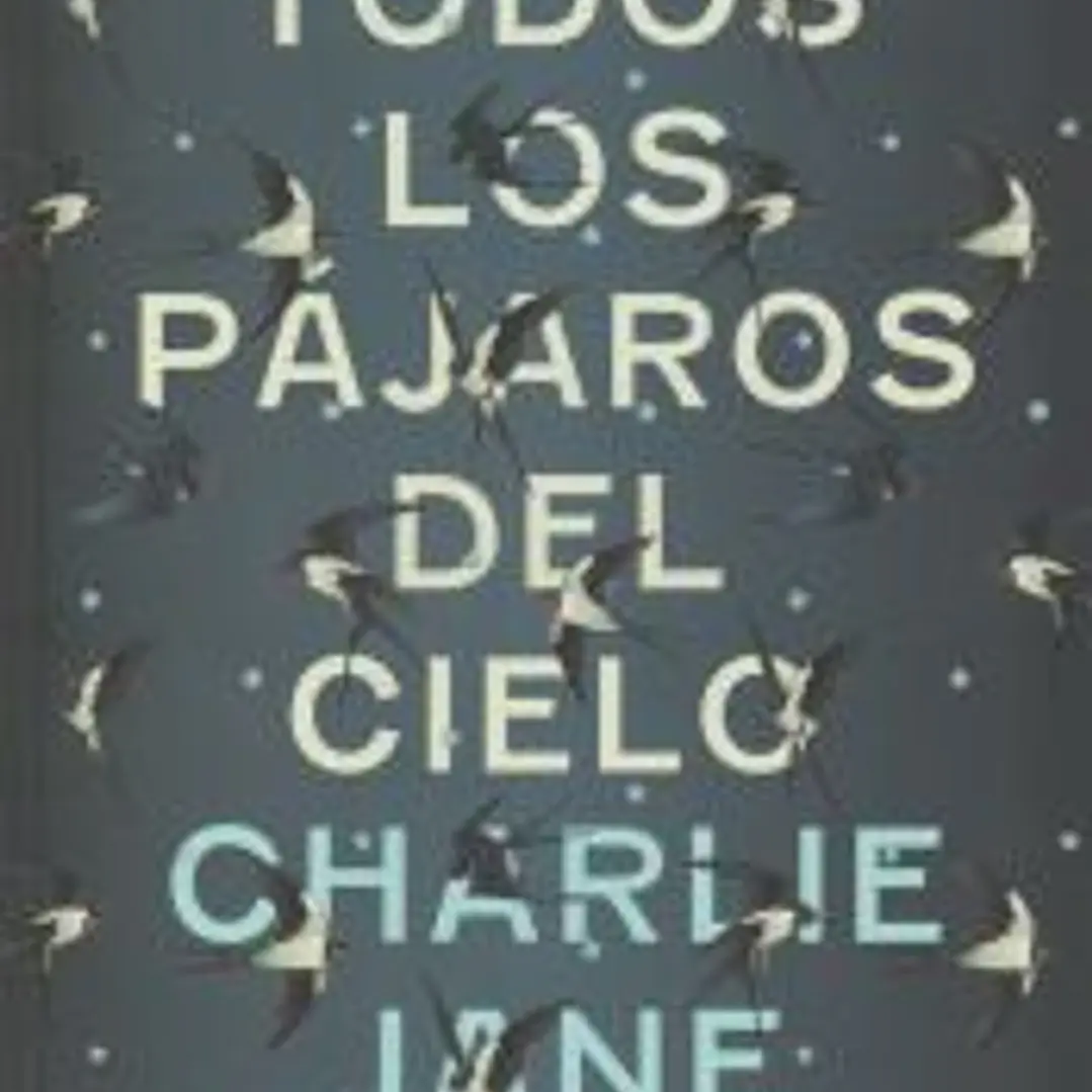 Todos los pájaros del cielo 1