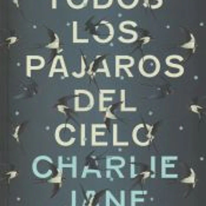 Todos los pájaros del cielo 1