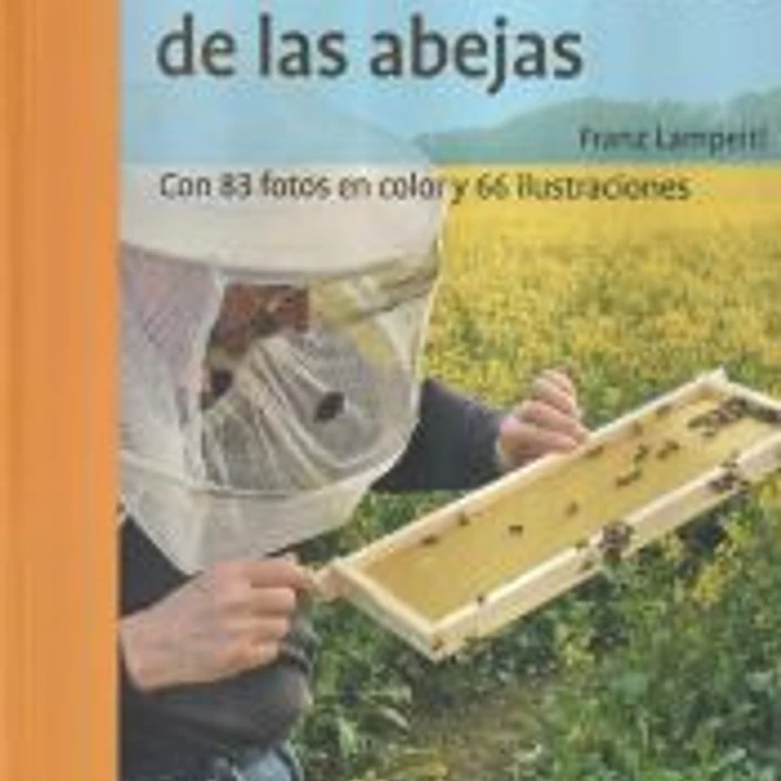 El mantenimiento de las abejas 1