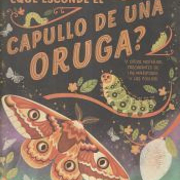 ¿Qué esconde el capullo de una oruga? 1