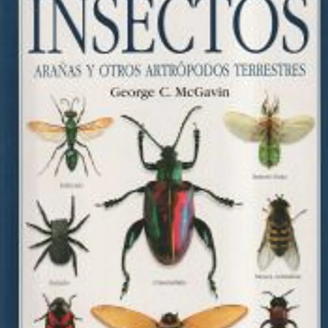 INSECTOS. MANUAL DE IDENTIFICACION 1