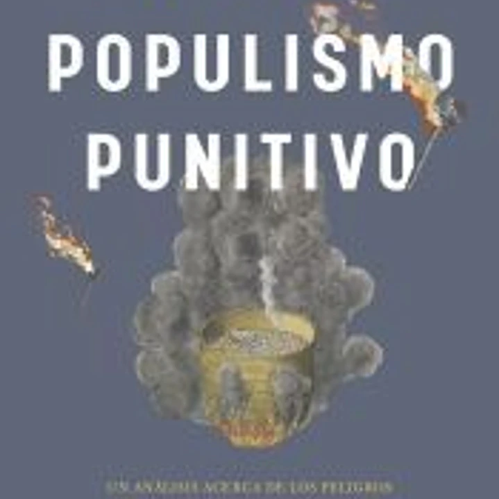 Populismo punitivo 1