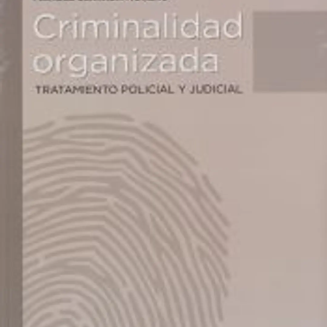 Criminalidad organizada 1