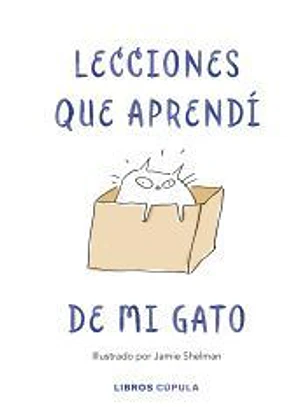 Lecciones de vida que aprendí de mi gato