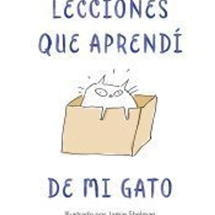 Lecciones de vida que aprendí de mi gato 1