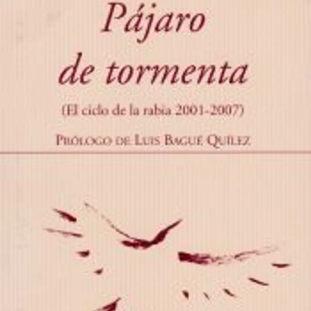 Pájaro de tormenta 1